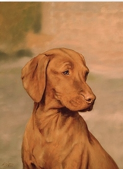 vizsla-js